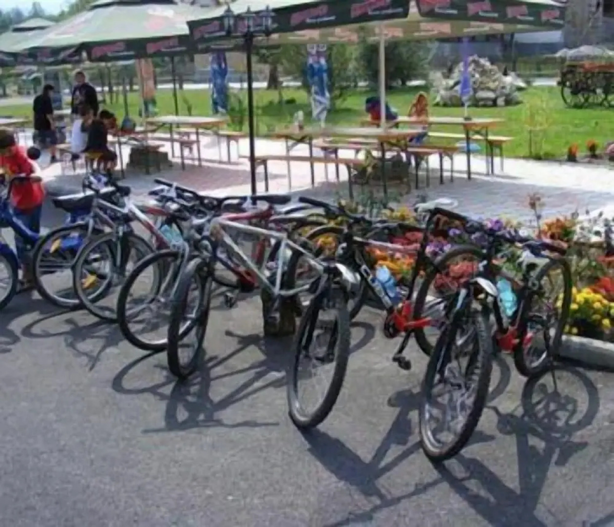 Hotel Bran Belvedere