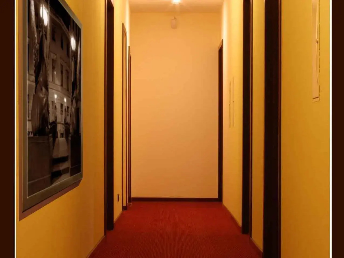 Стоуни Айлэнд на Каменноостровском