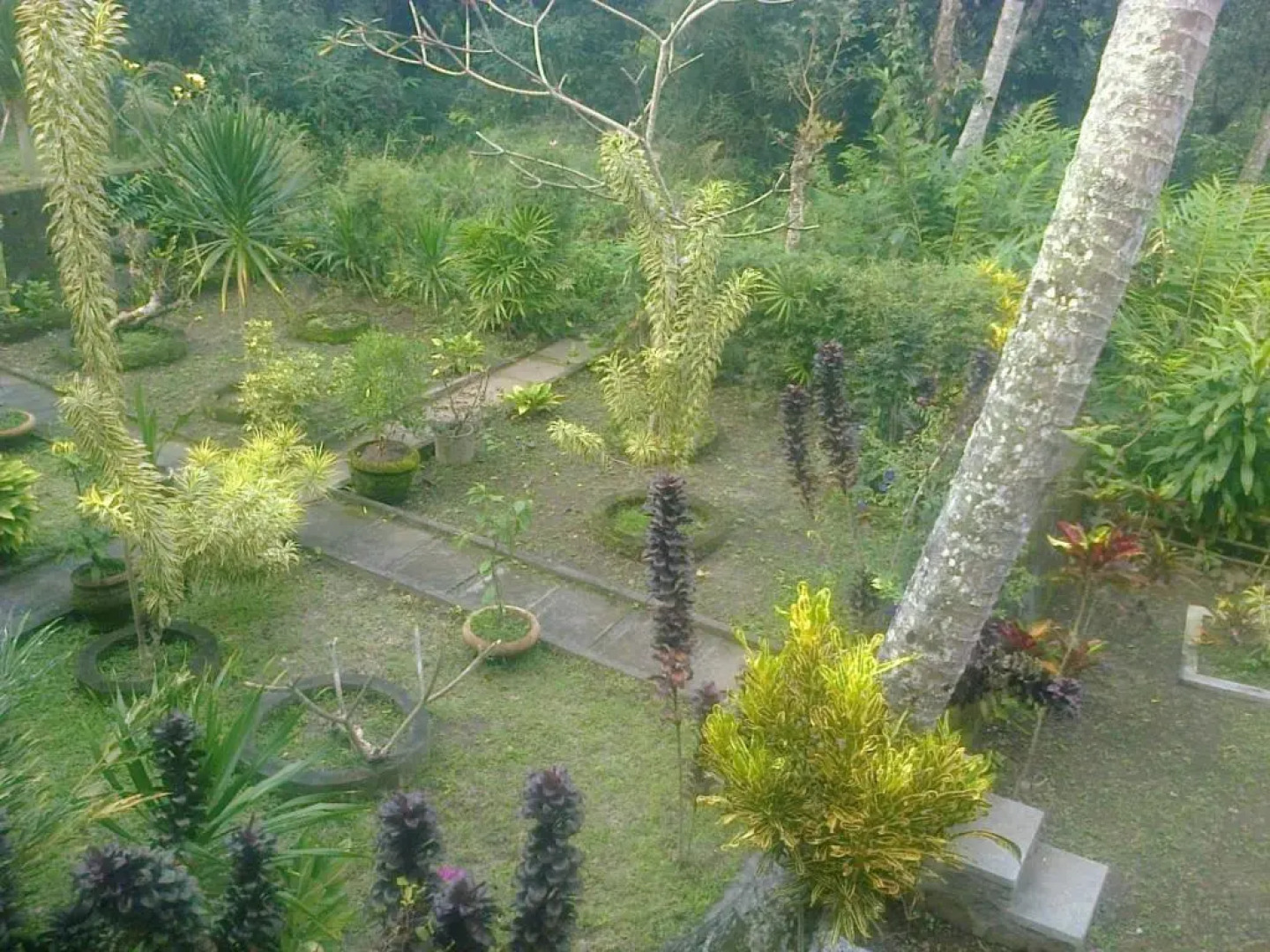 Pondok Alam Bukit