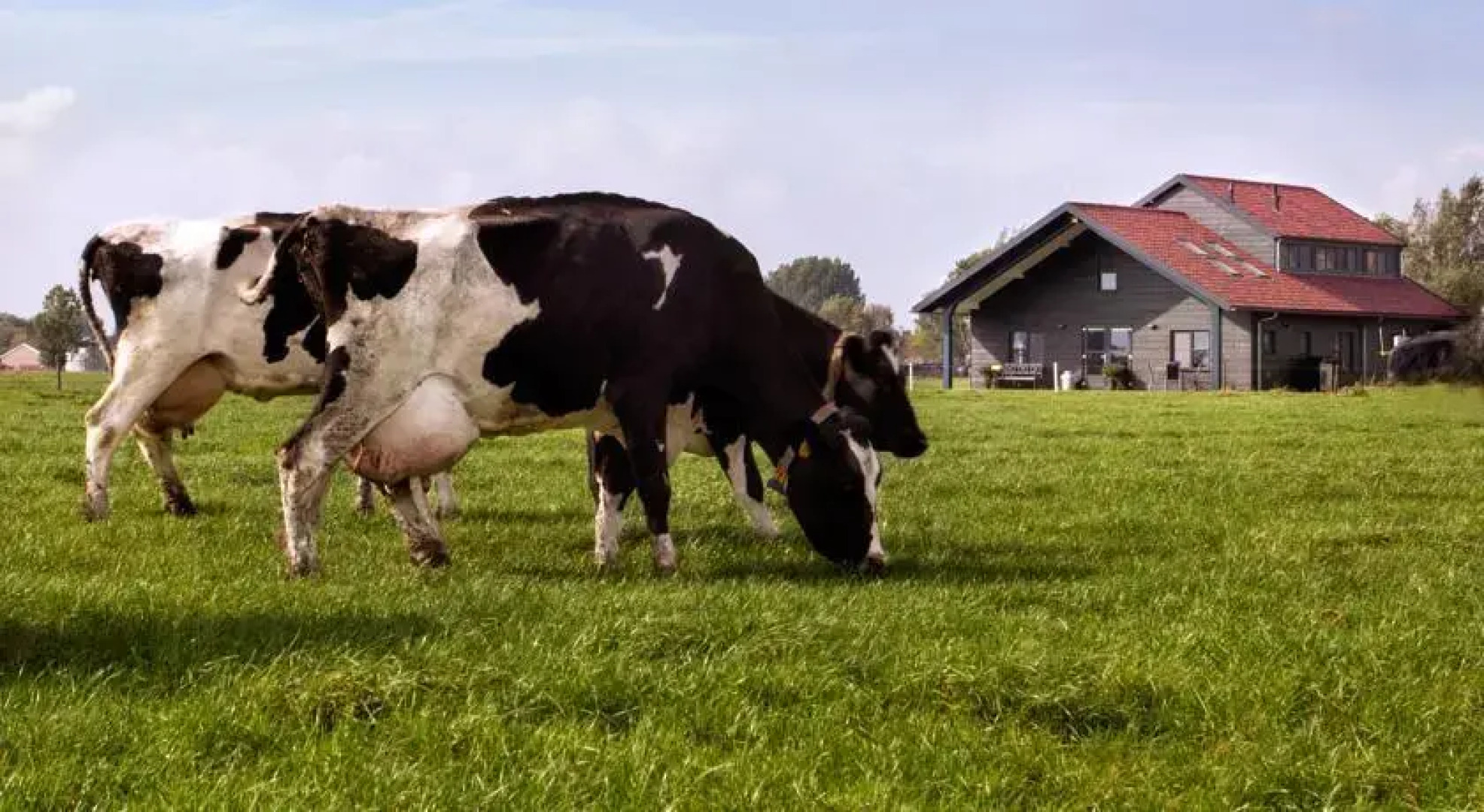 B&B Gastenverblijf Hoogenboom