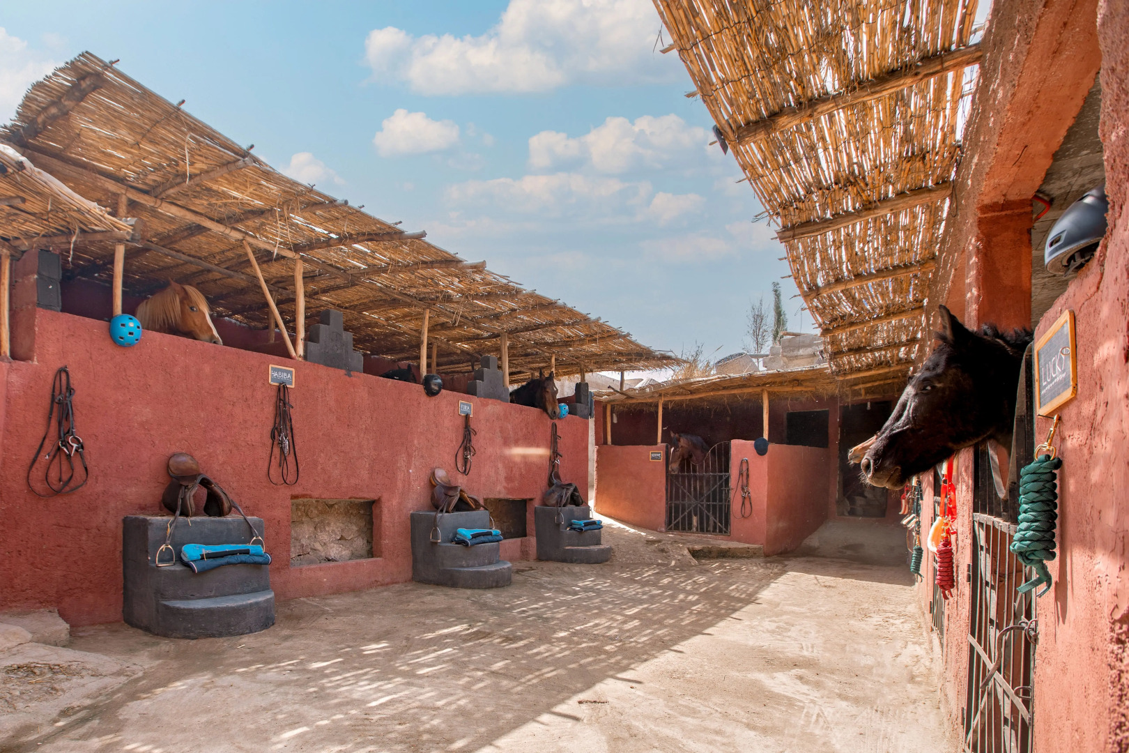 La Fattoria Ecolodge