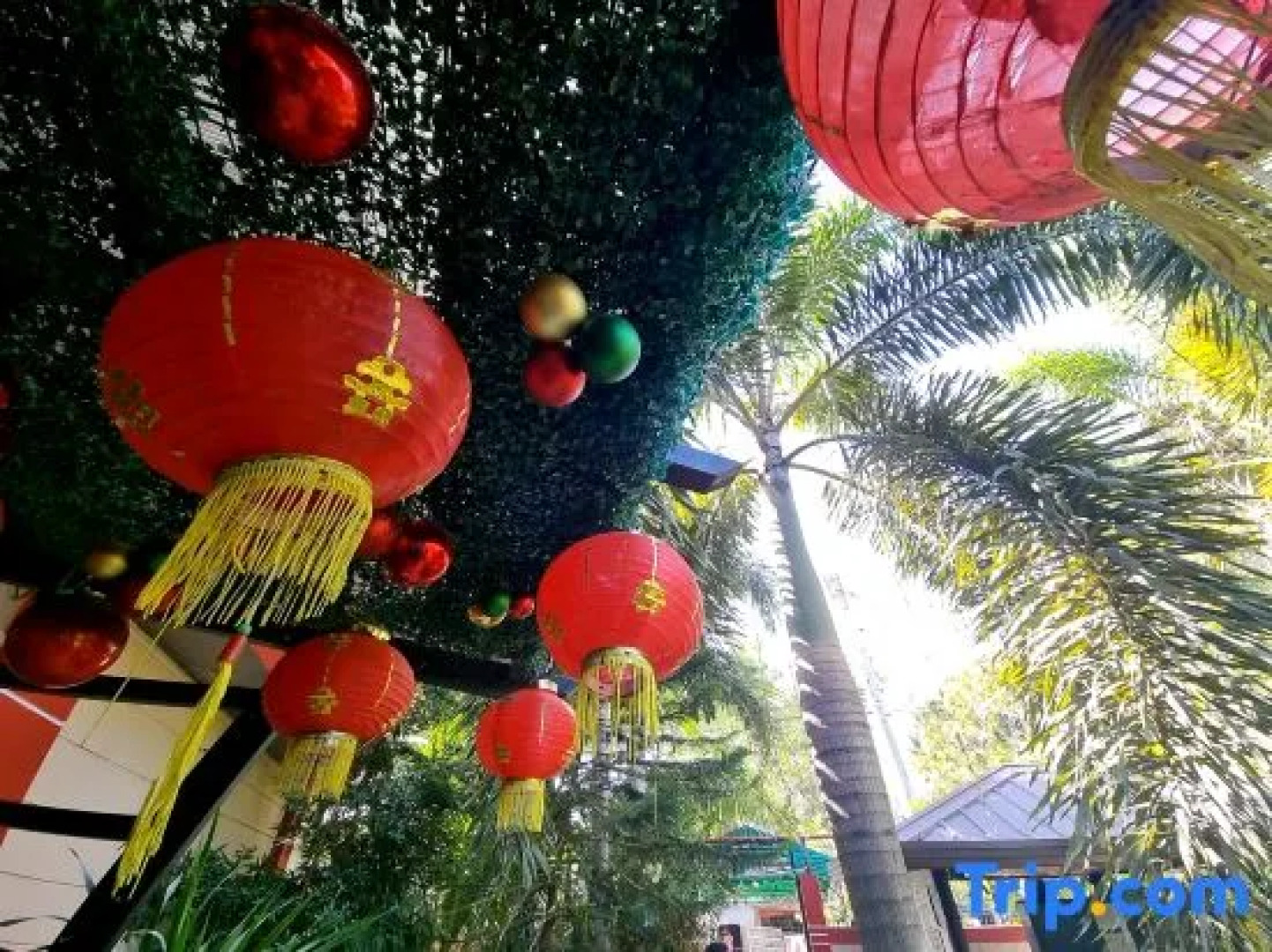 Buddha Resort by Cocotel