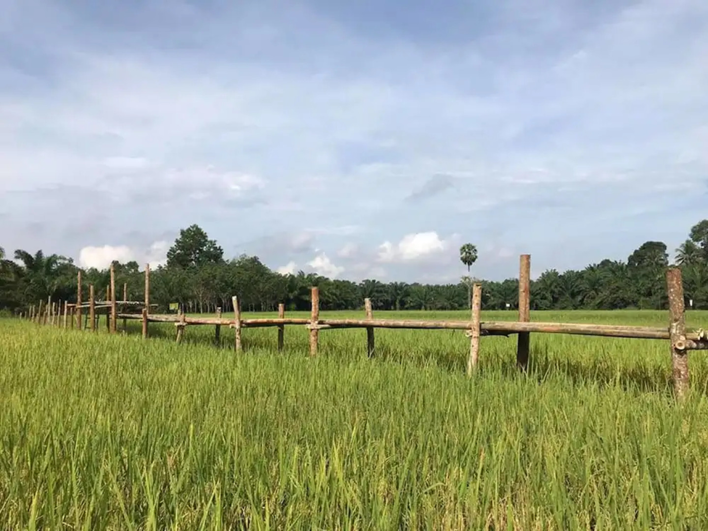 Jae's Garden Home Resort