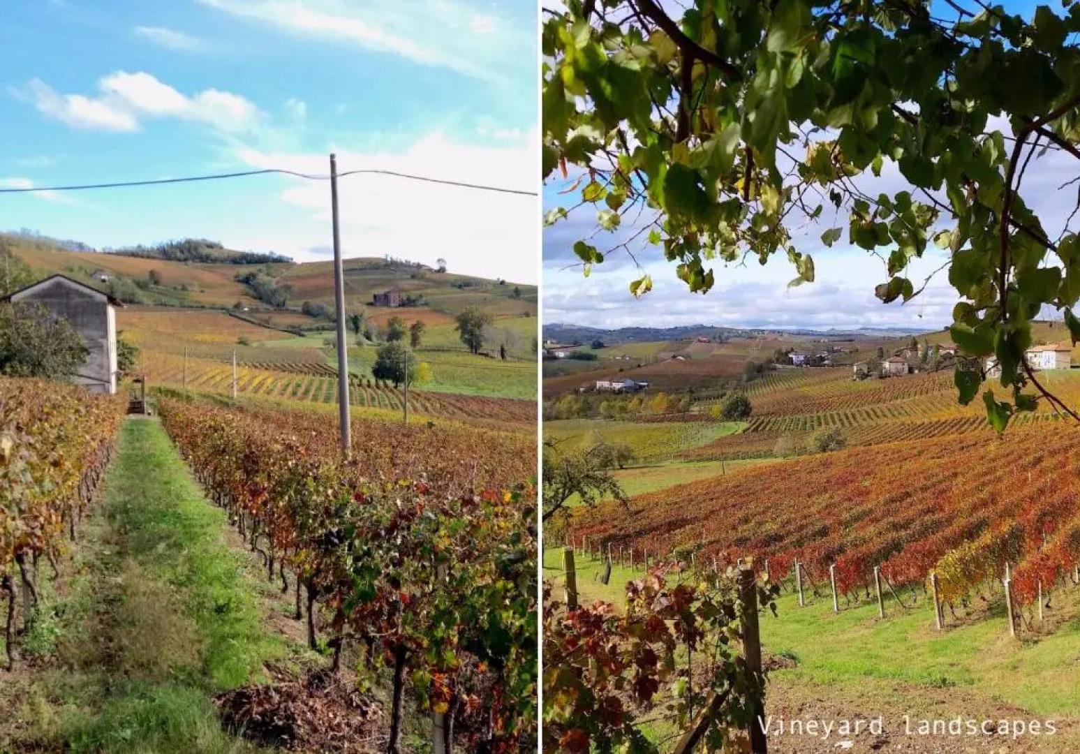 Amazing Langhe And Monferrato | House with Garden