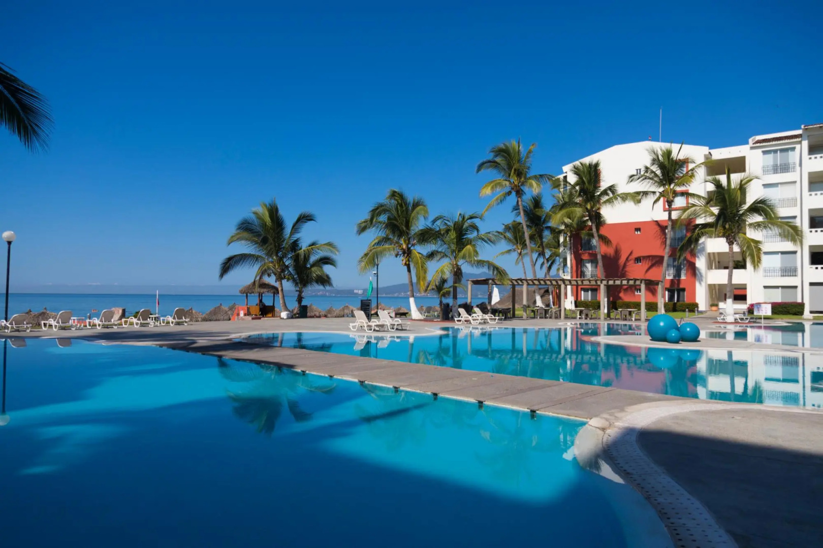 Flamingos Conchas 502