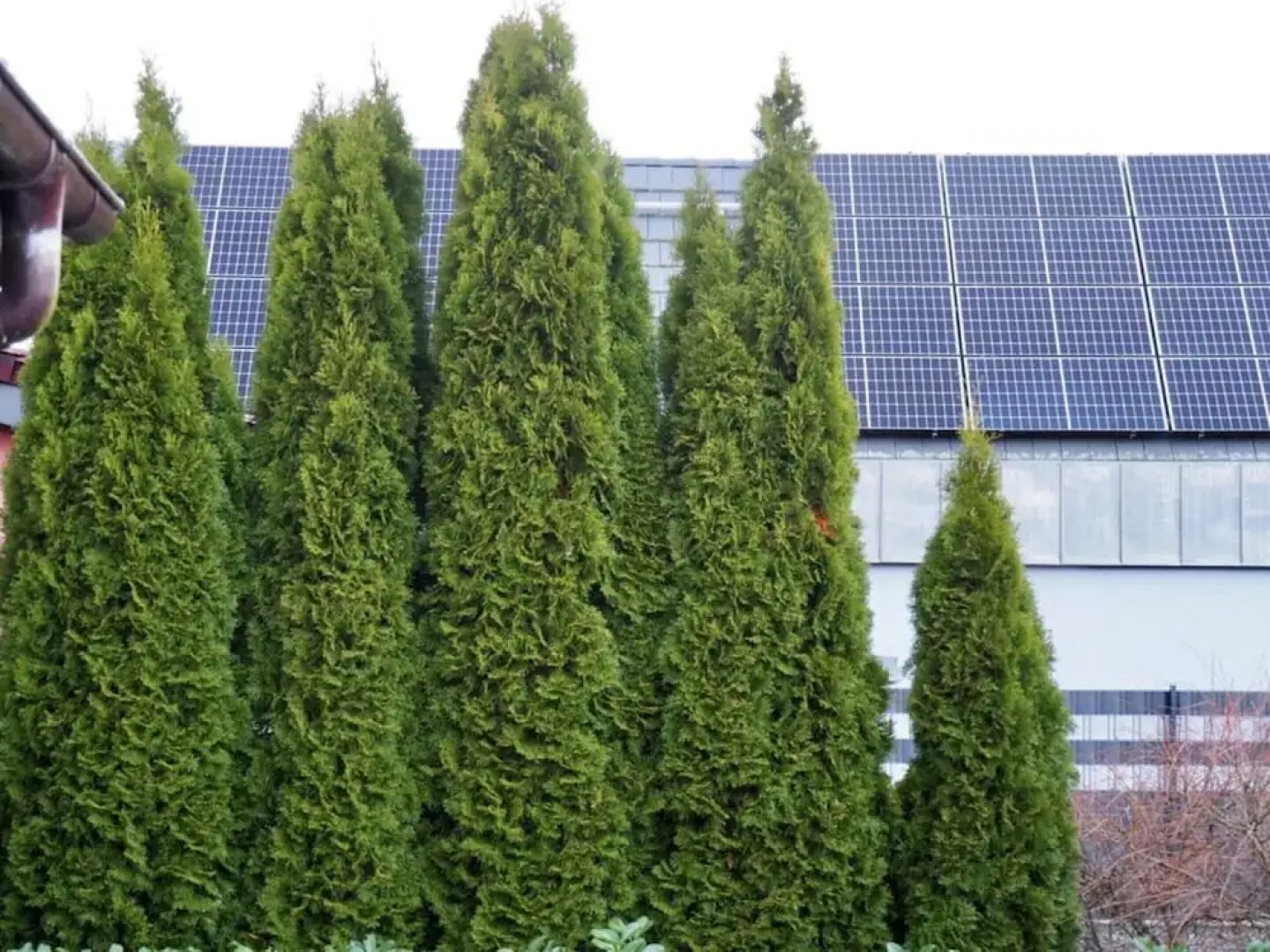 Captain House in Gohren-lebbin