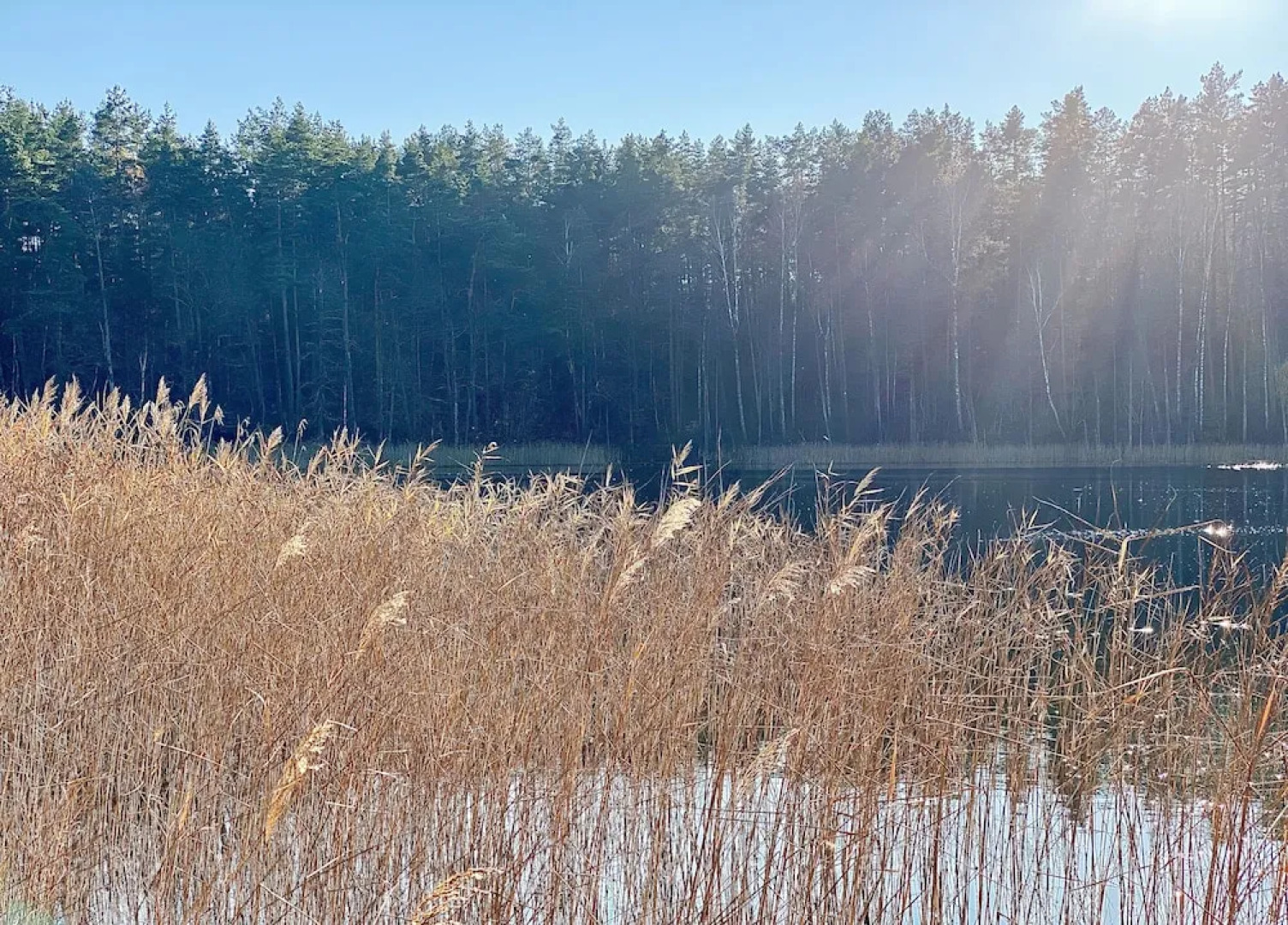 The Lake. Unique Waterfront Villa