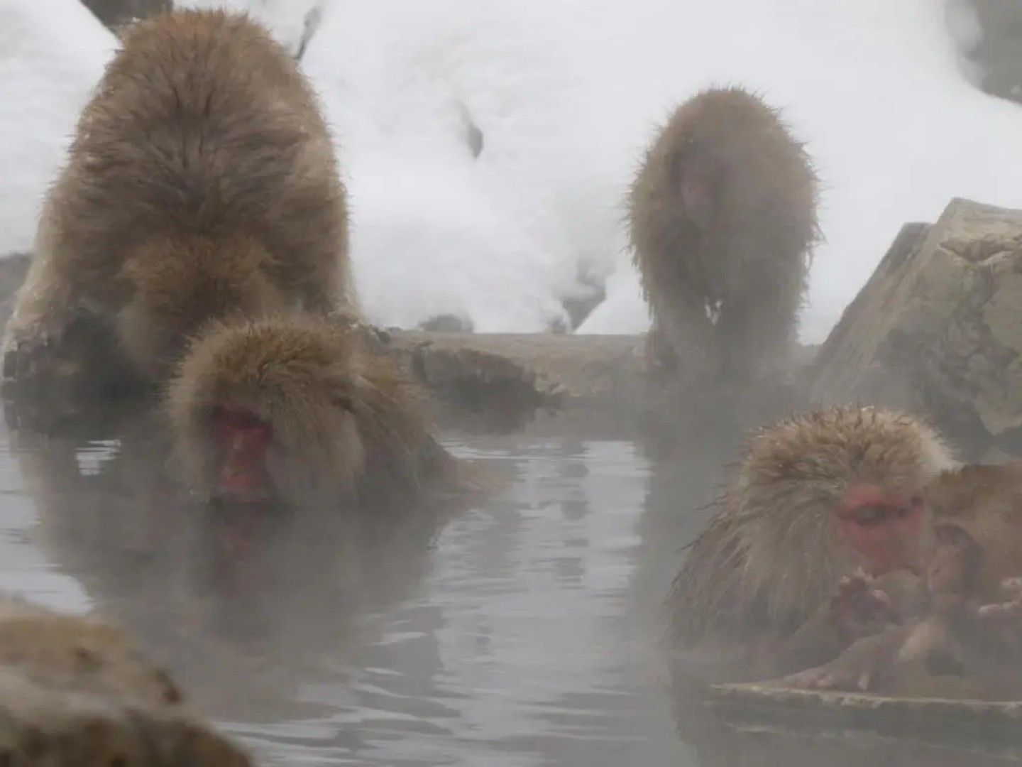 Denshukan Toraya-No-yu