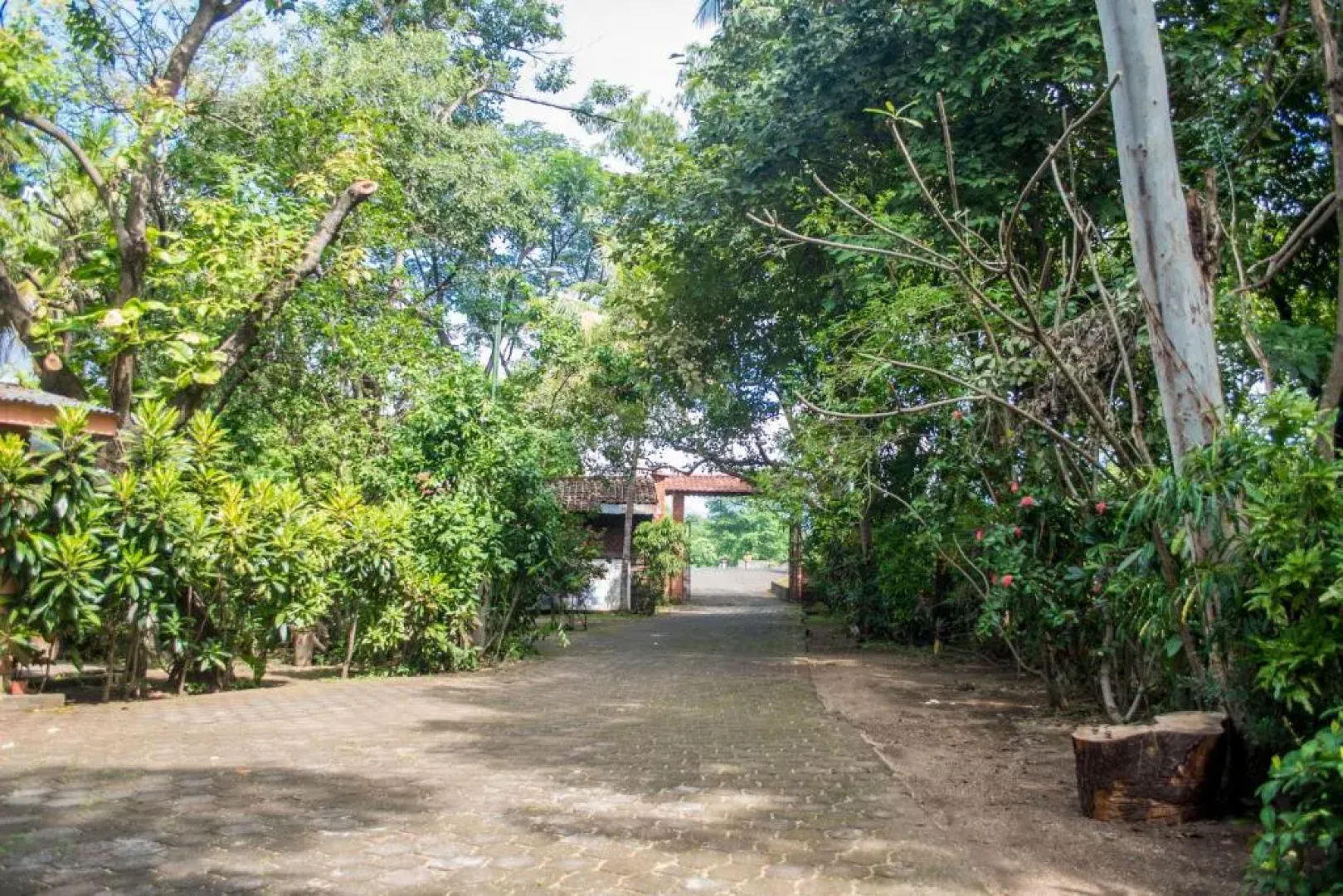 Hotel Apastepe