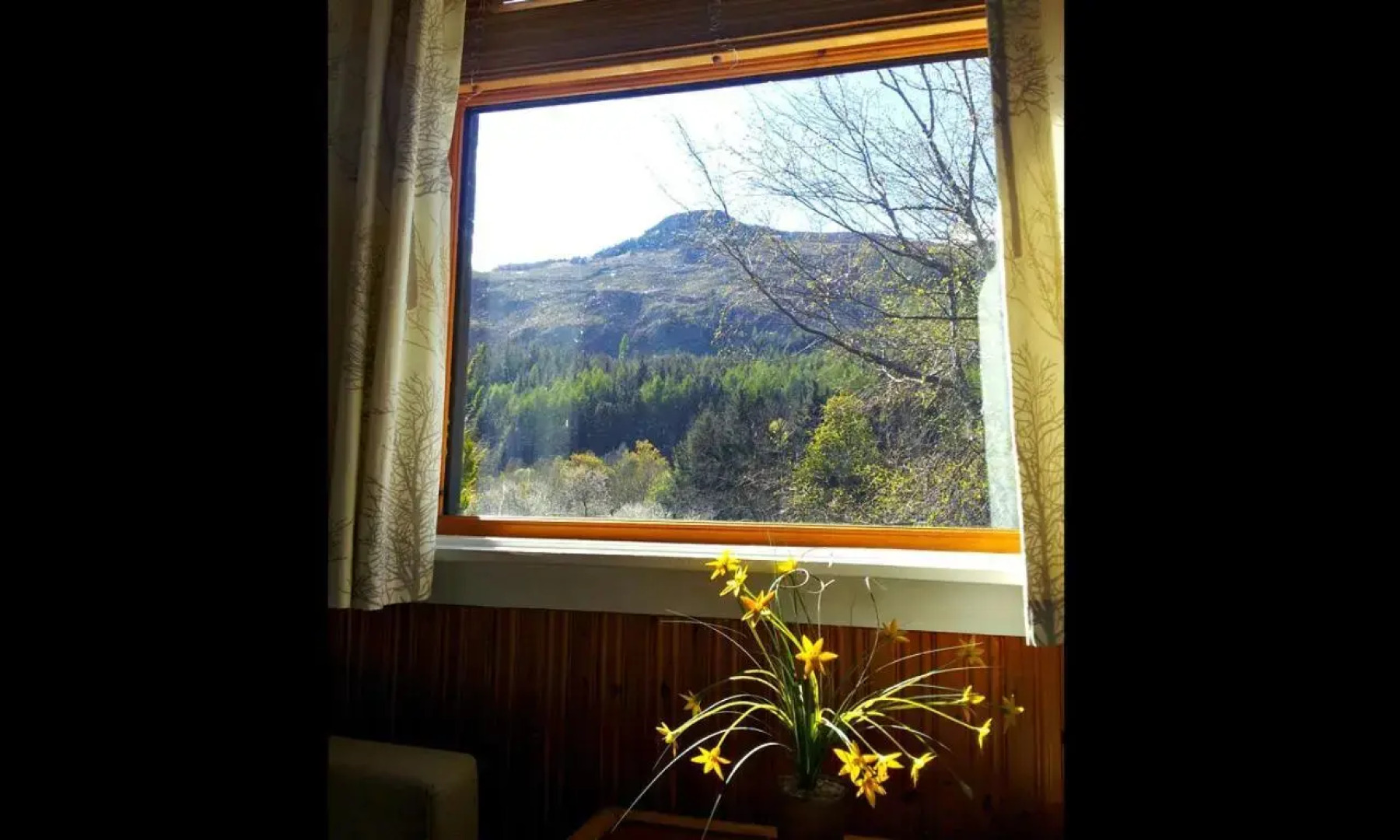 An Carraig Log Cabin