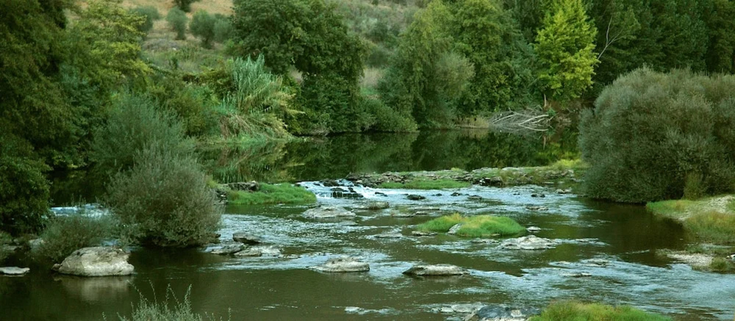 Room in a Farmer House