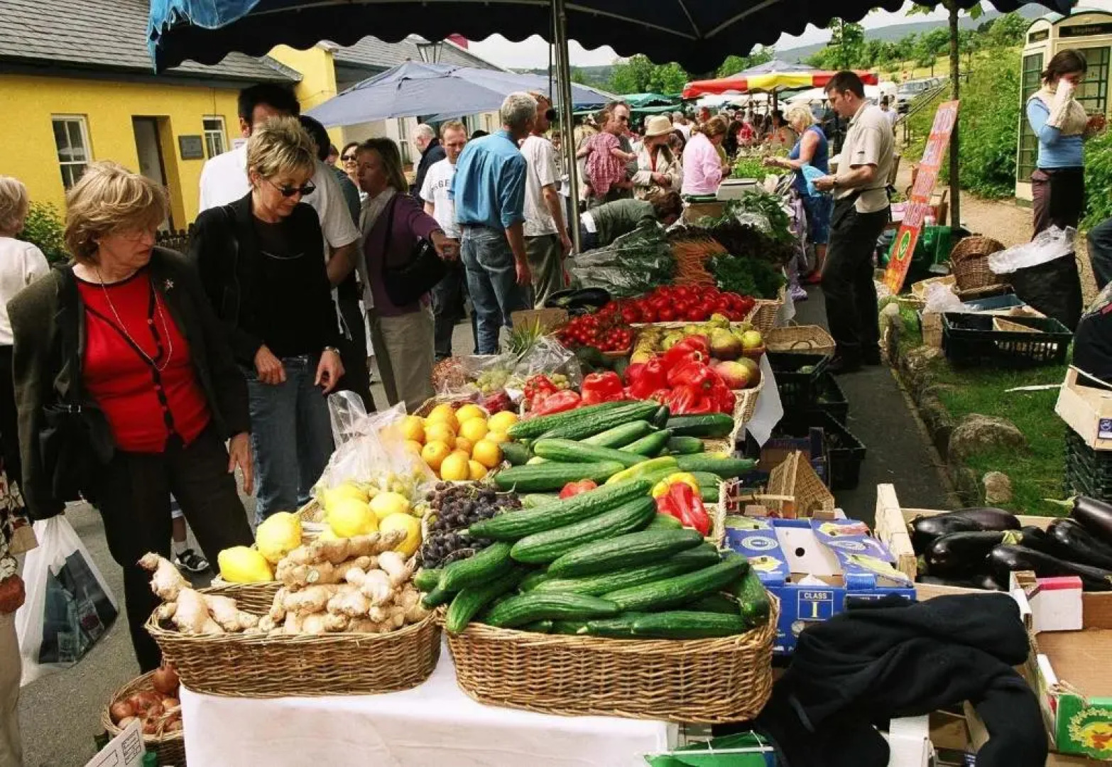 Brooklodge & Macreddin Village