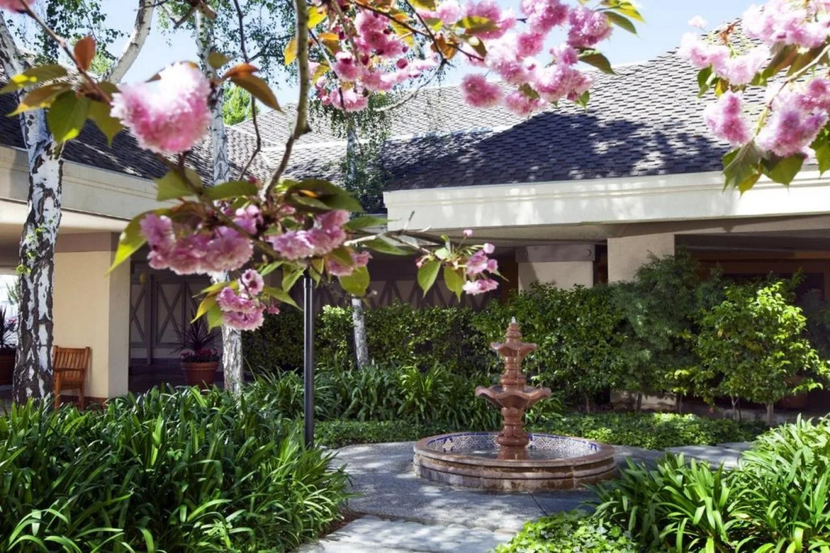 Treehouse Hotel Silicon Valley