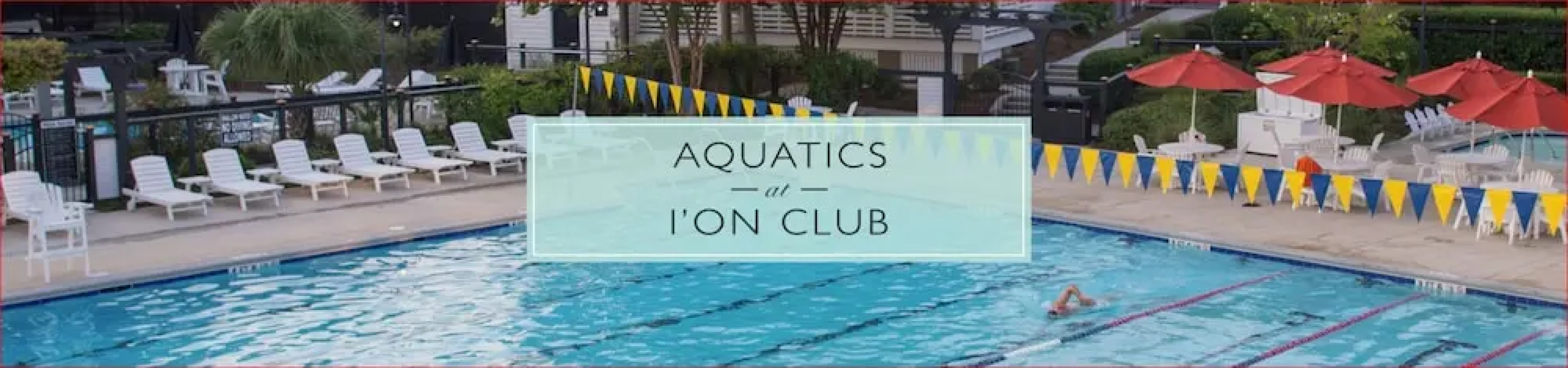 The Palmetto House Inn