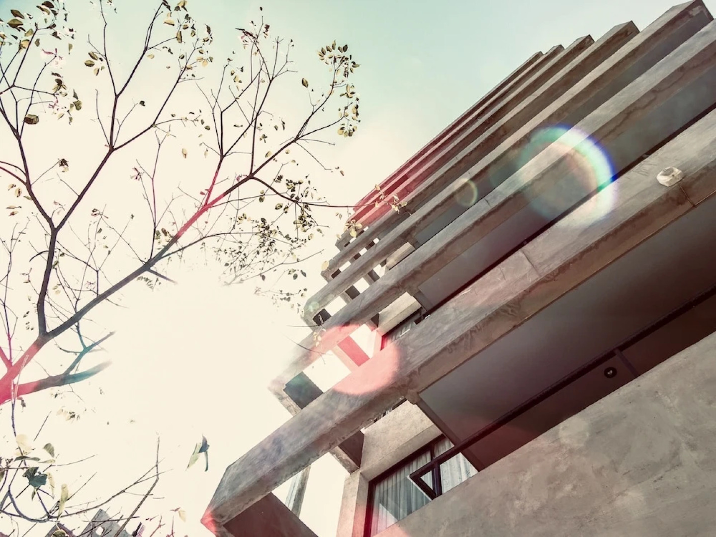 Sacha Mistol Residence _Nueva Cordoba