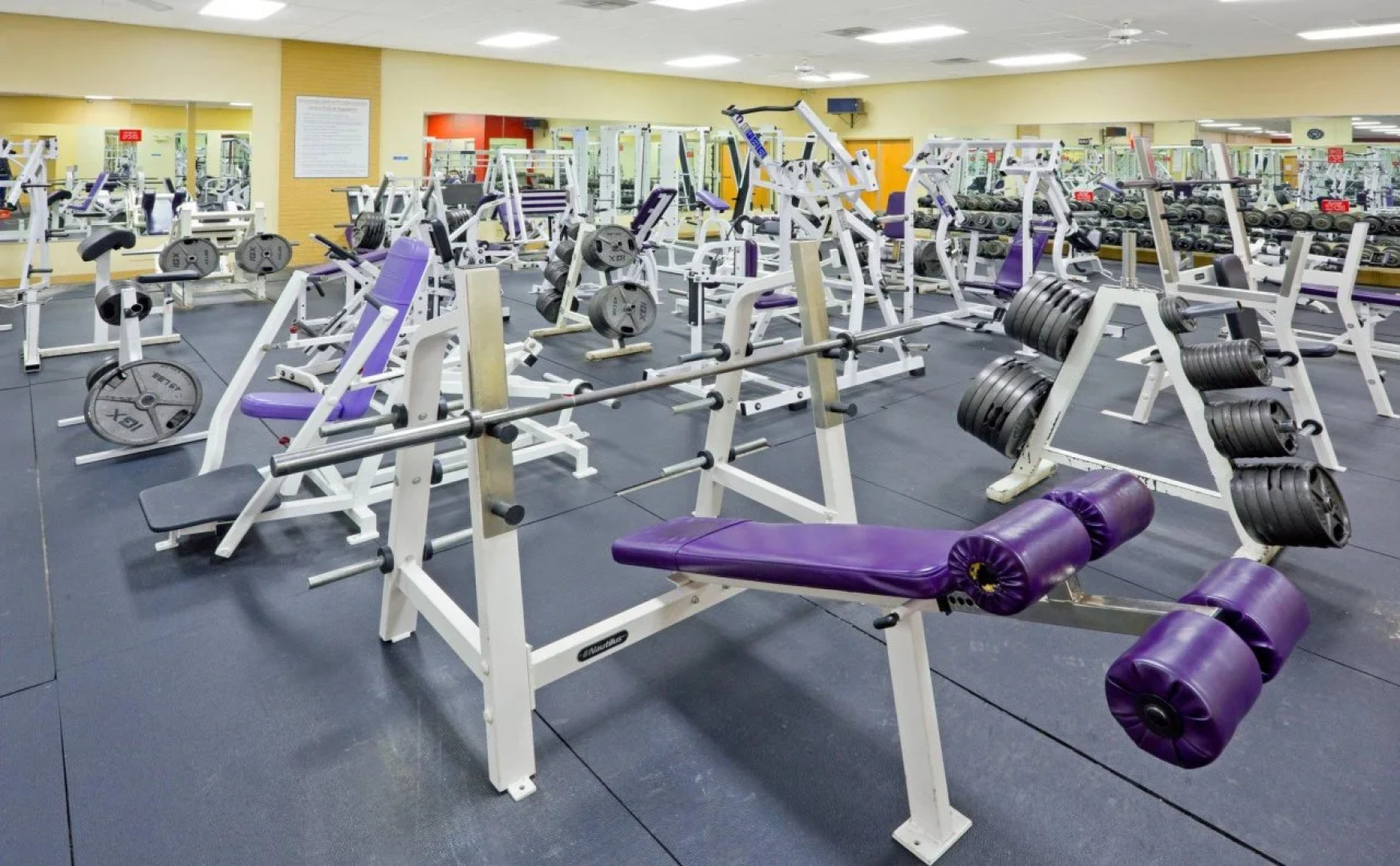 Holiday Inn Express Hotel & Suites Carneys Point by IHG