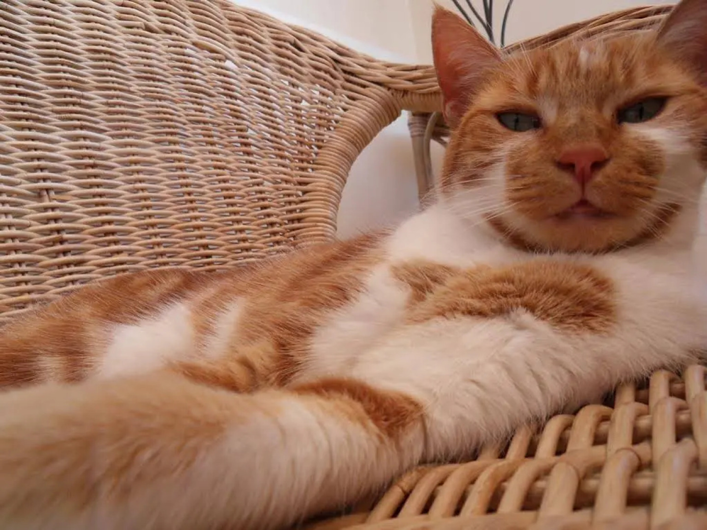 Romney Bay House Hotel