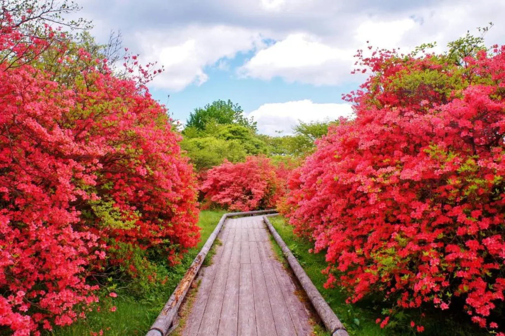 Aromatic Garden Villa La Poltrona