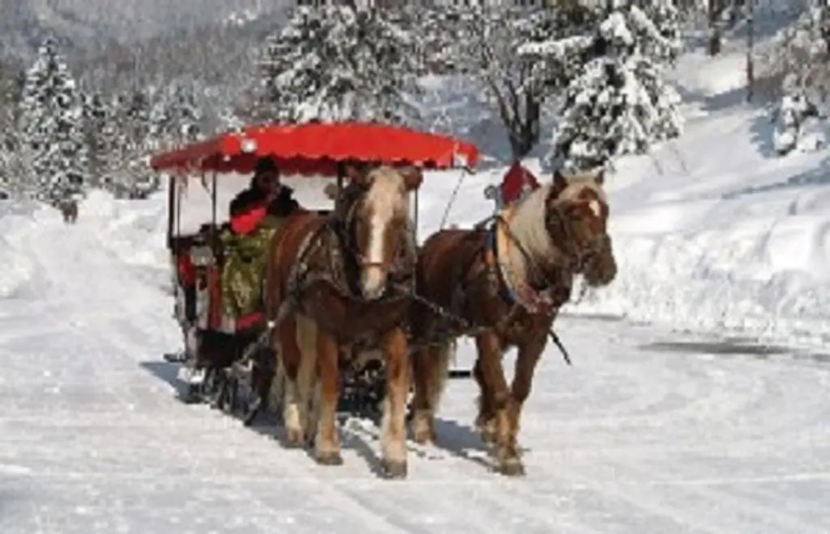 Ferienwohnung Max und Klaudia Müller