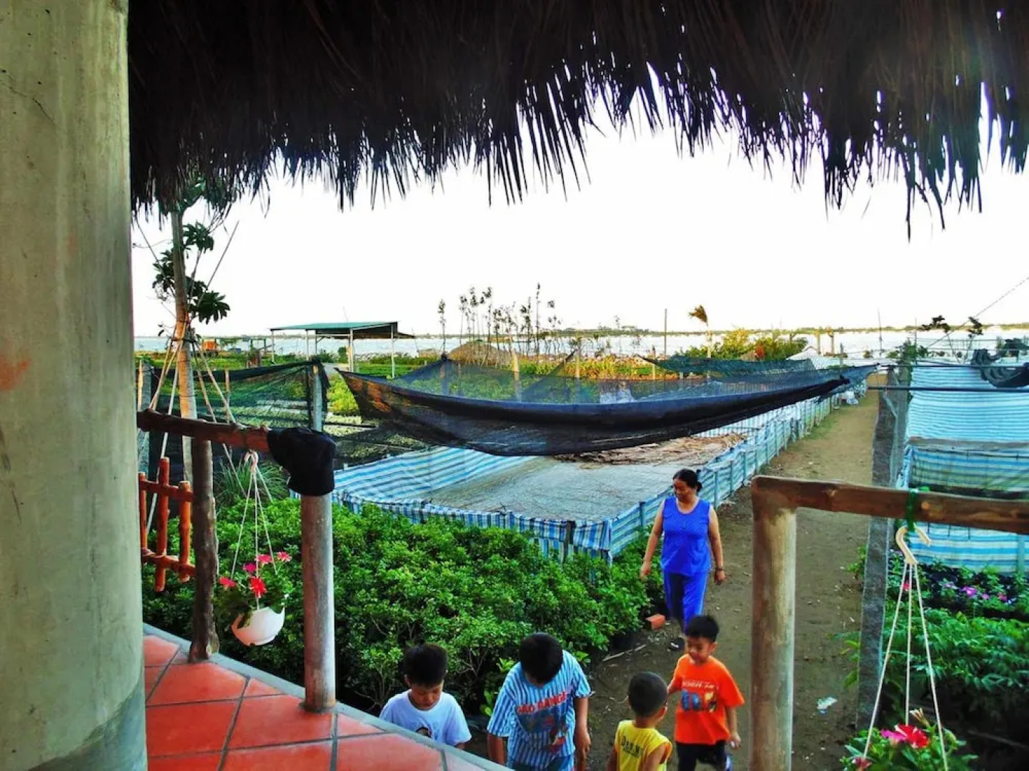 Flower & Frog Homestay