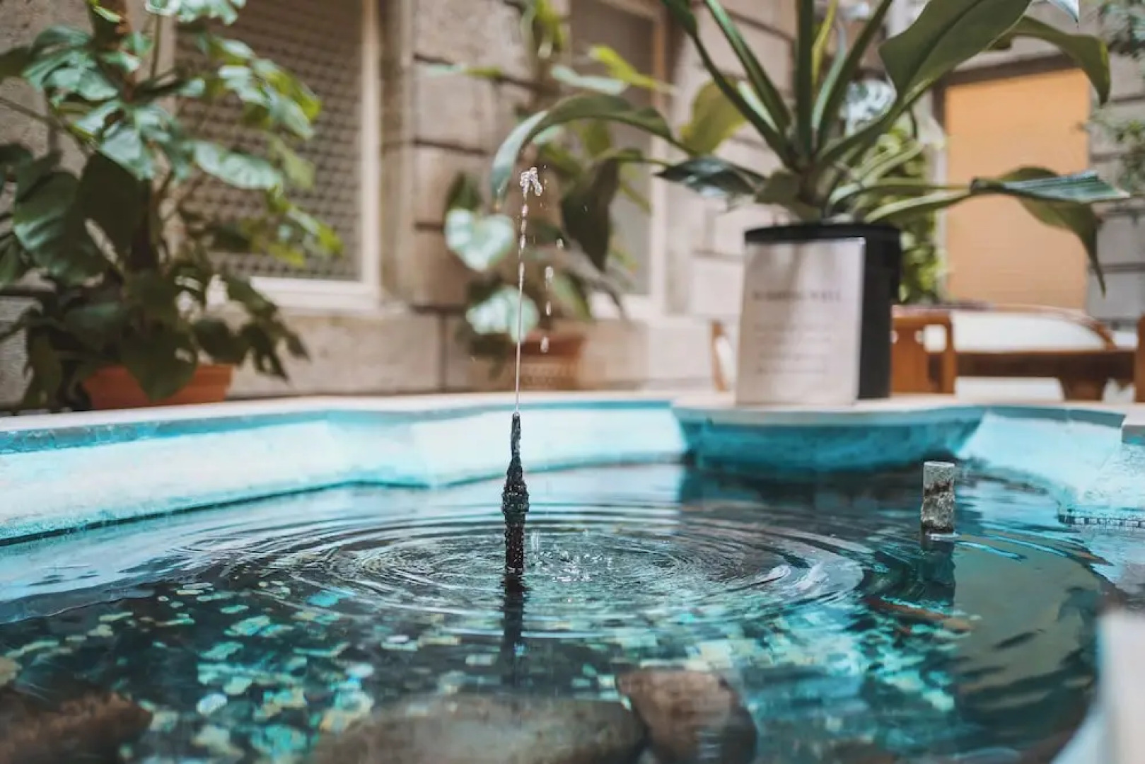 BLUME. - Baden Hotel & Restaurant