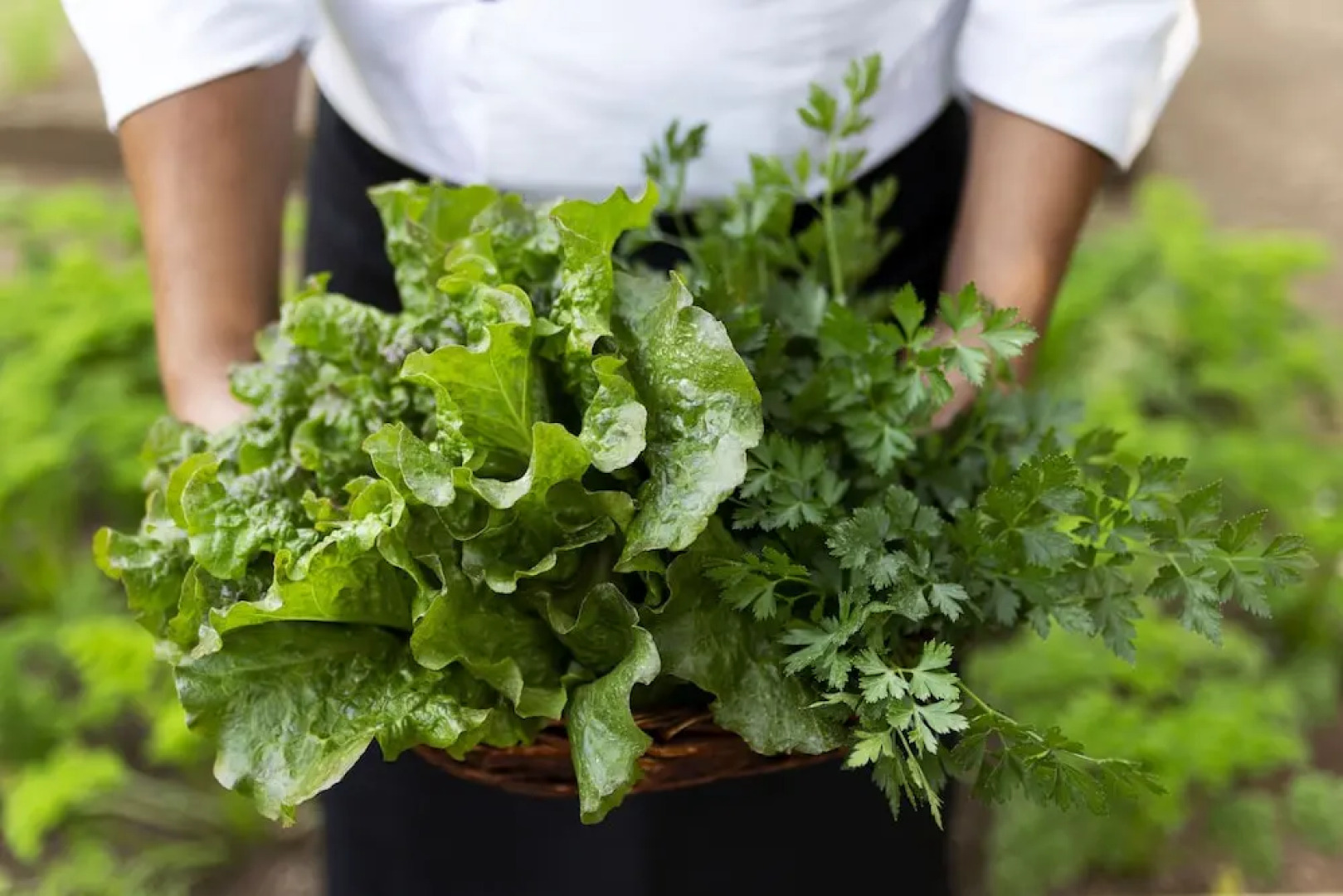 Hotel Boutique Y Restaurante Panisté