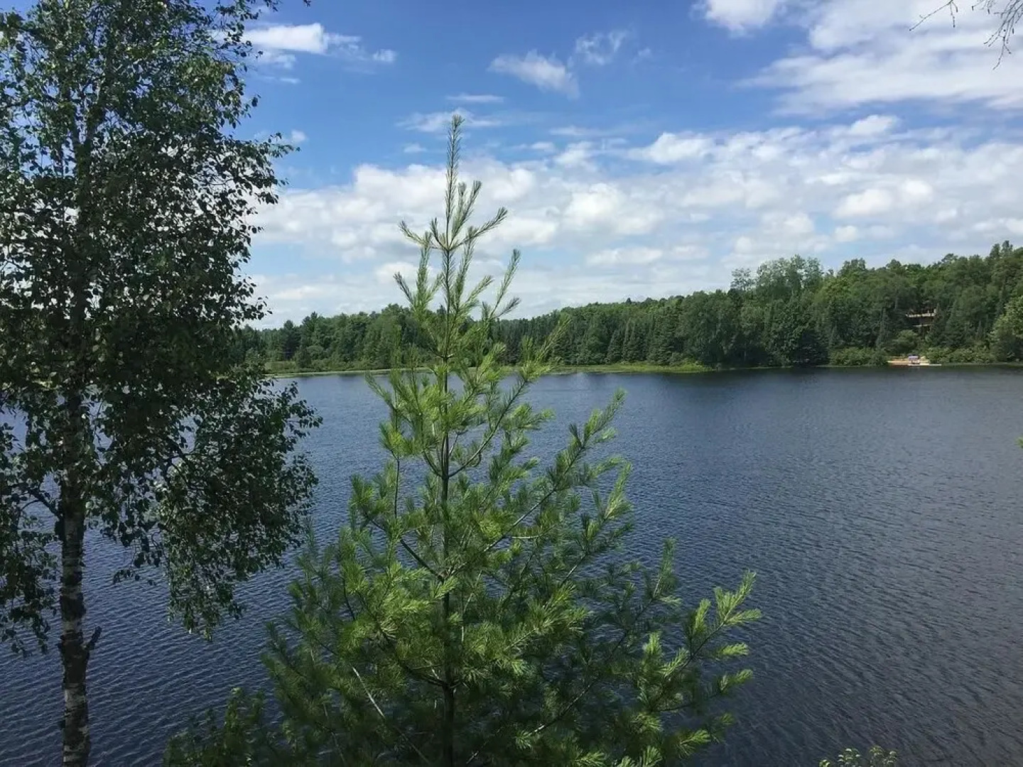 Eunica's Beaver Lodge