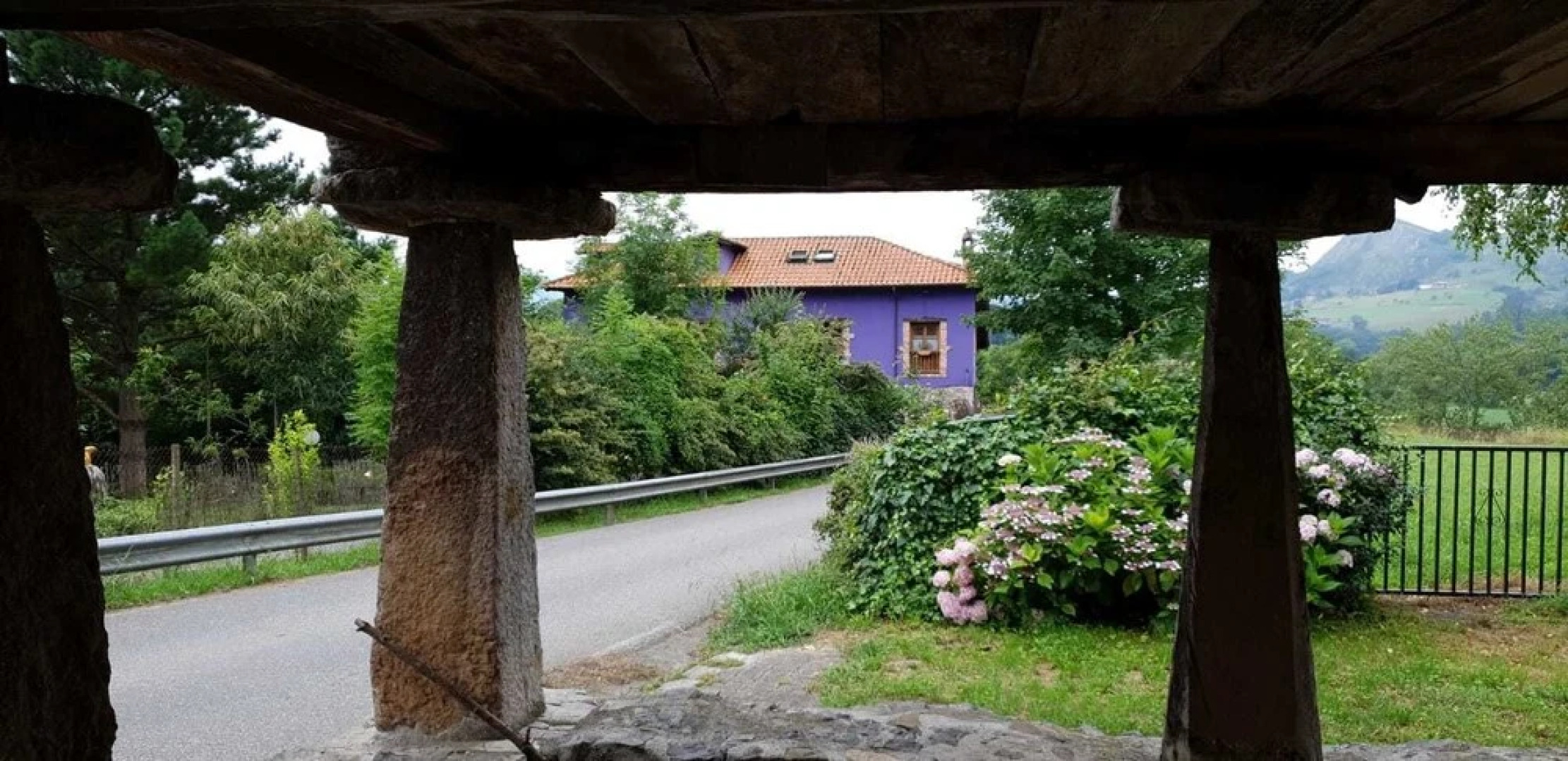 El Búho de la Remolina