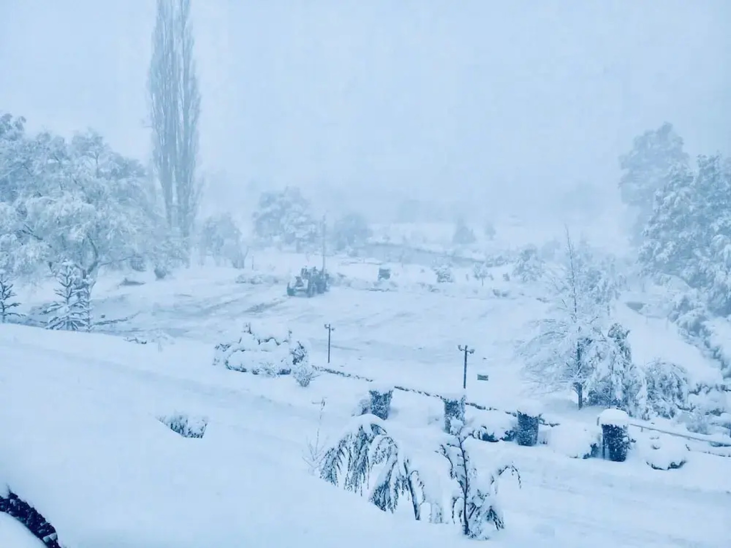 Malalcahuello Thermal Hotel & Spa