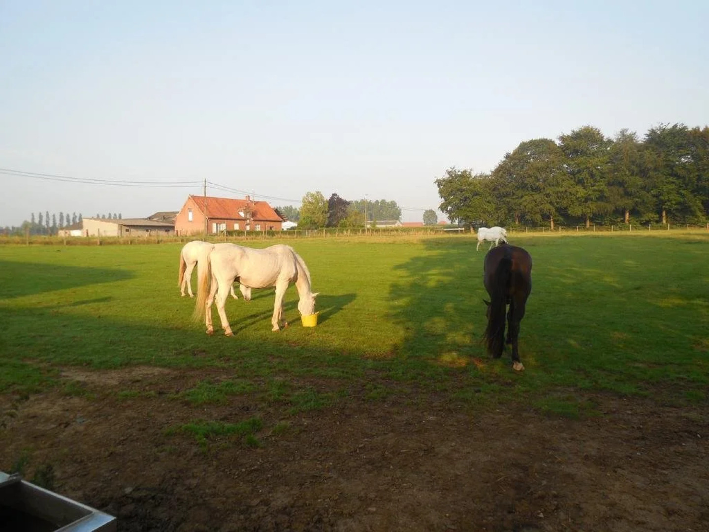 Valley Of The Polygon