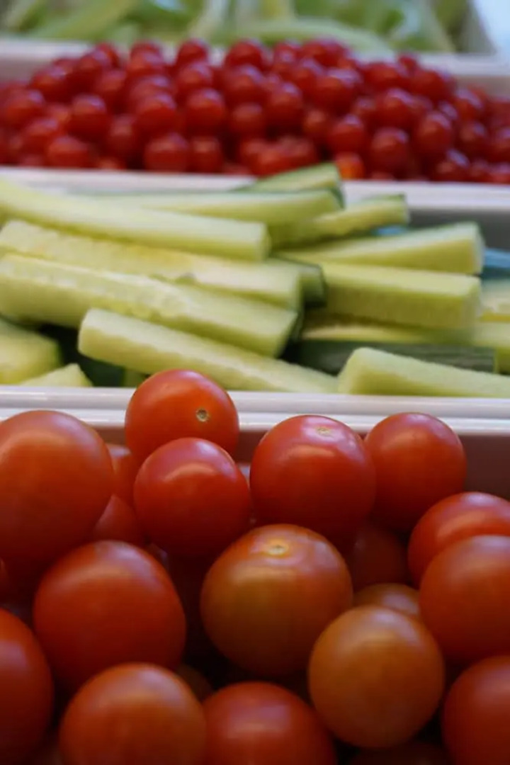 Pingvinhotellet UNN Tromsø