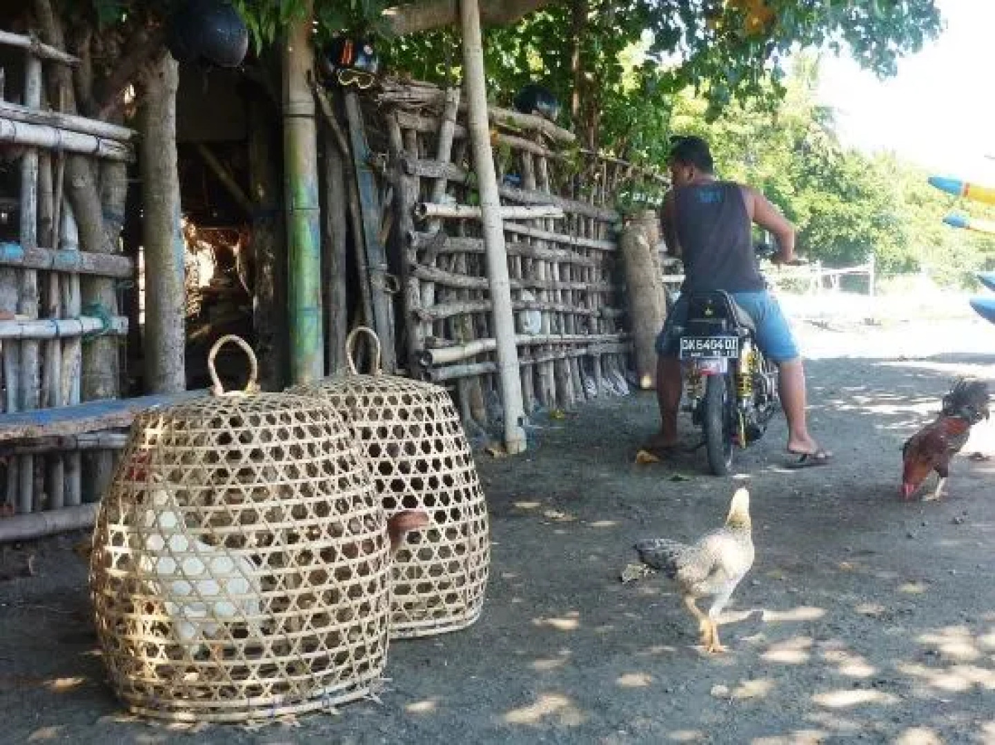 Saraswati Holiday House