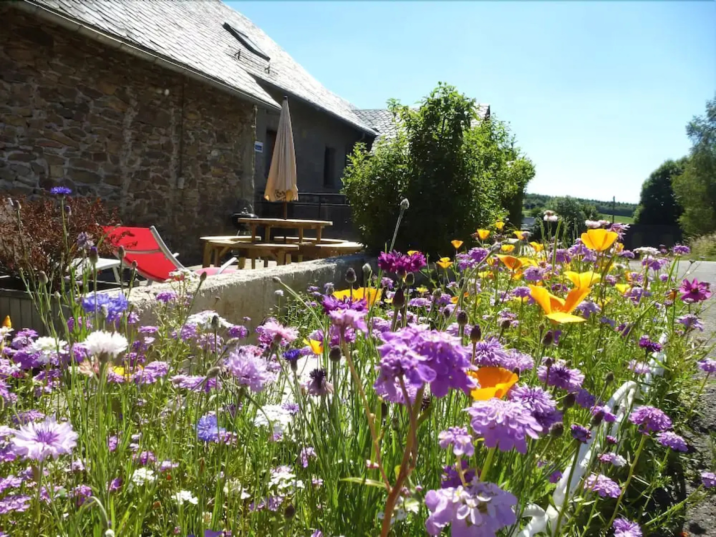 Les gîtes de l'étang