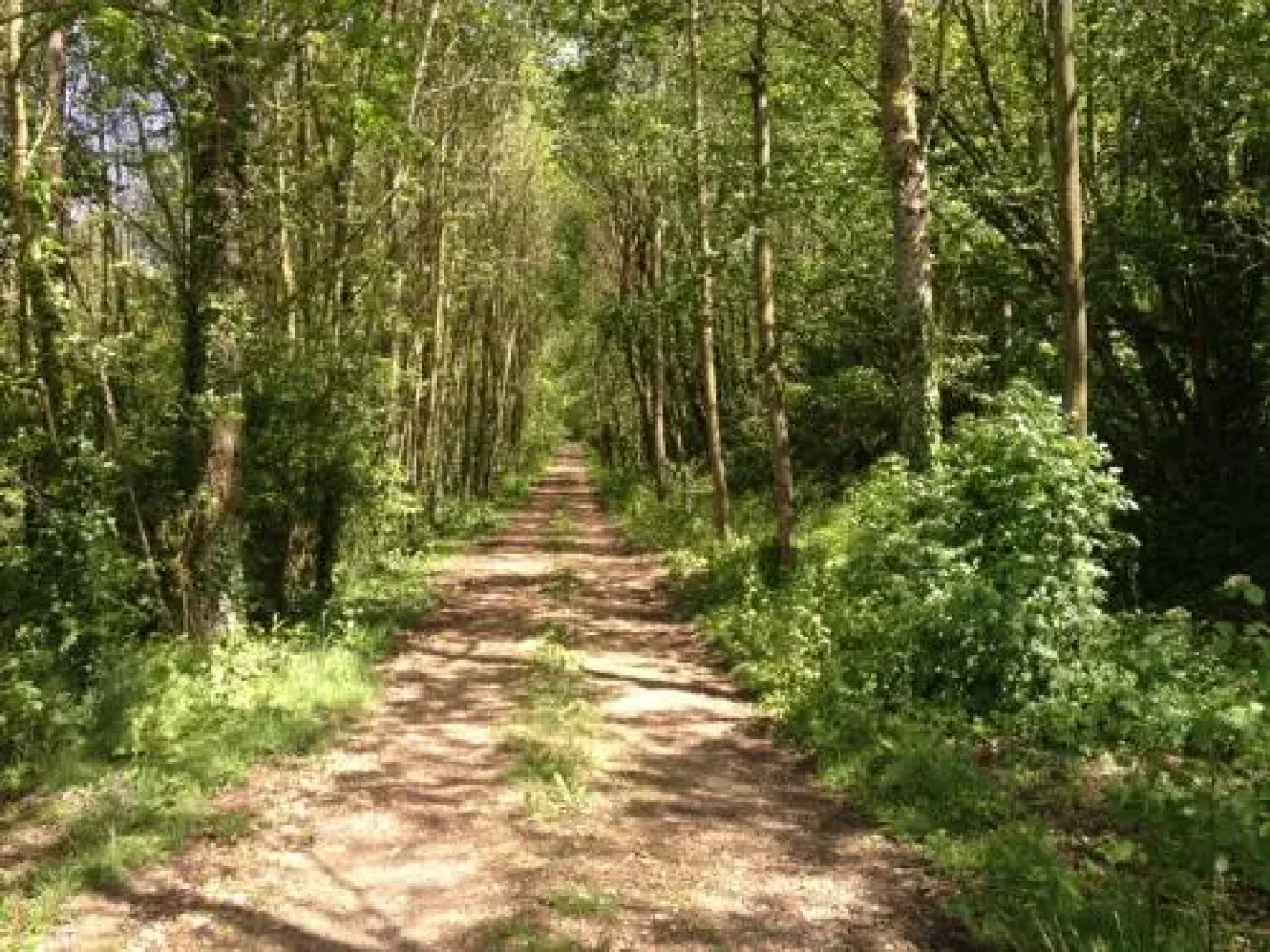 Domaine de Montjouvin