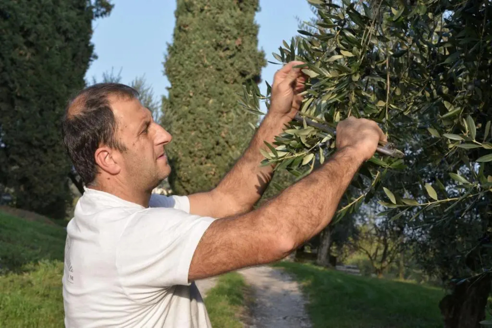 Agriturismo La Guarda