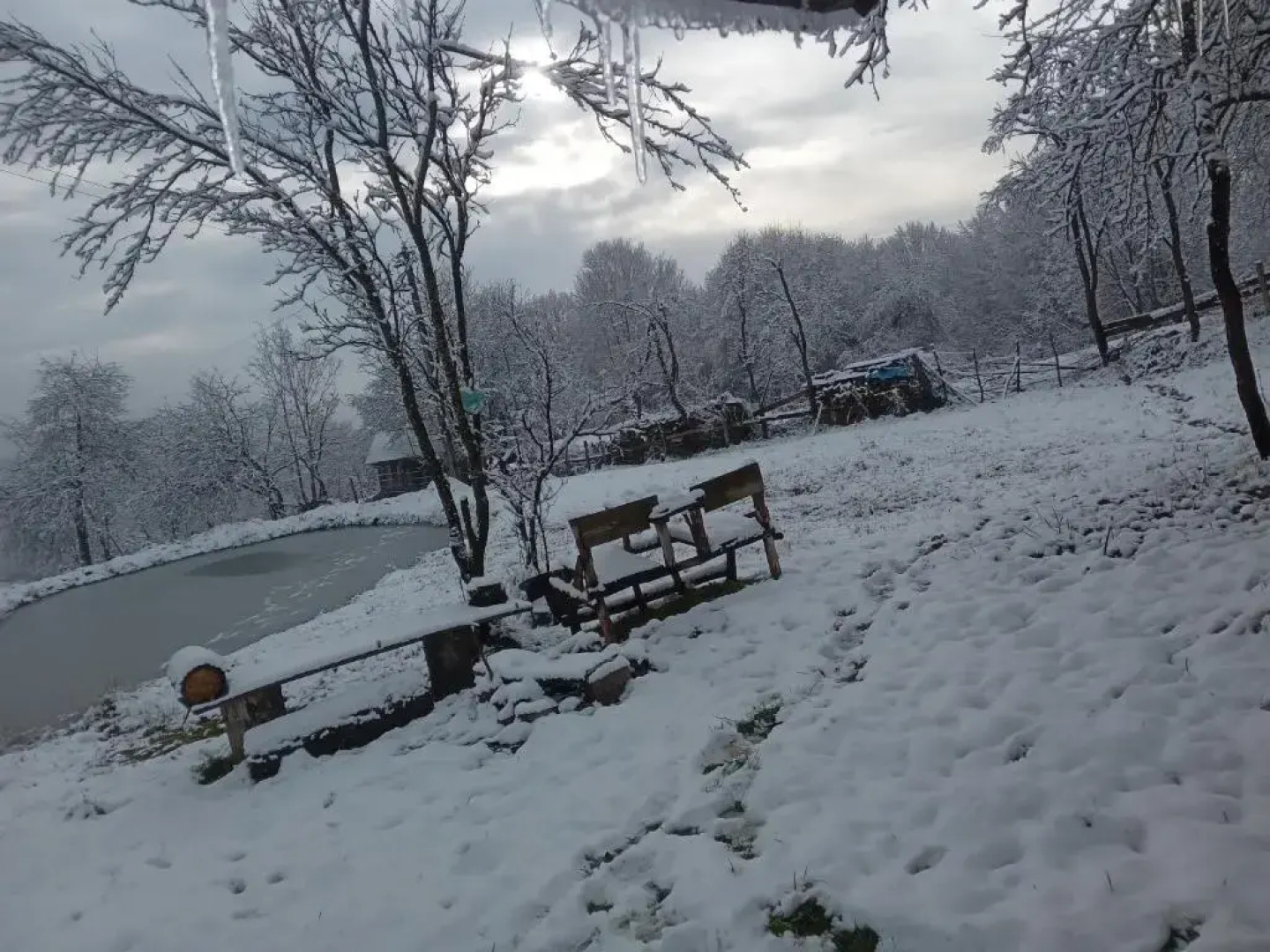 Room in Guest room - Sejour in green garden with lake view for 2 People