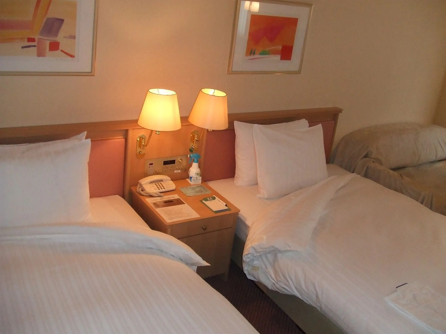 Hotel Lake Alster Alza Izumiotsu