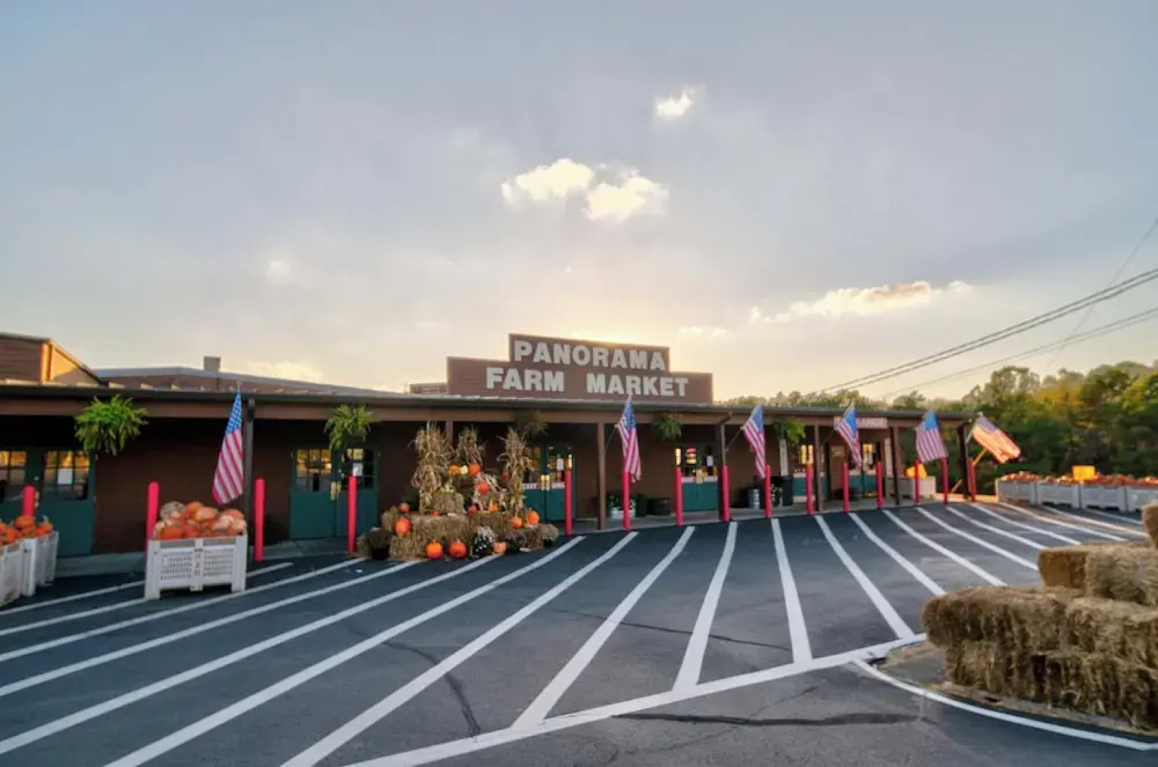 Sunset View 3 BDR Close to Downtown!