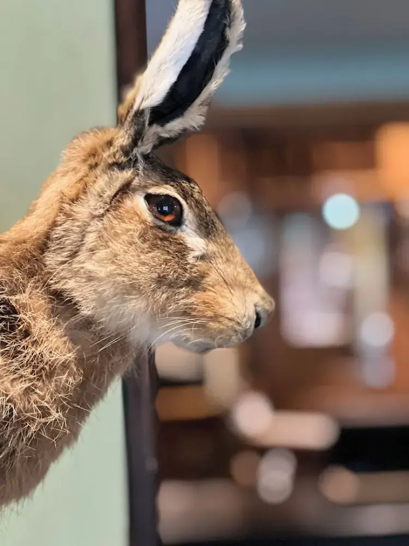 The Royal Oak Hotel and Restaurant