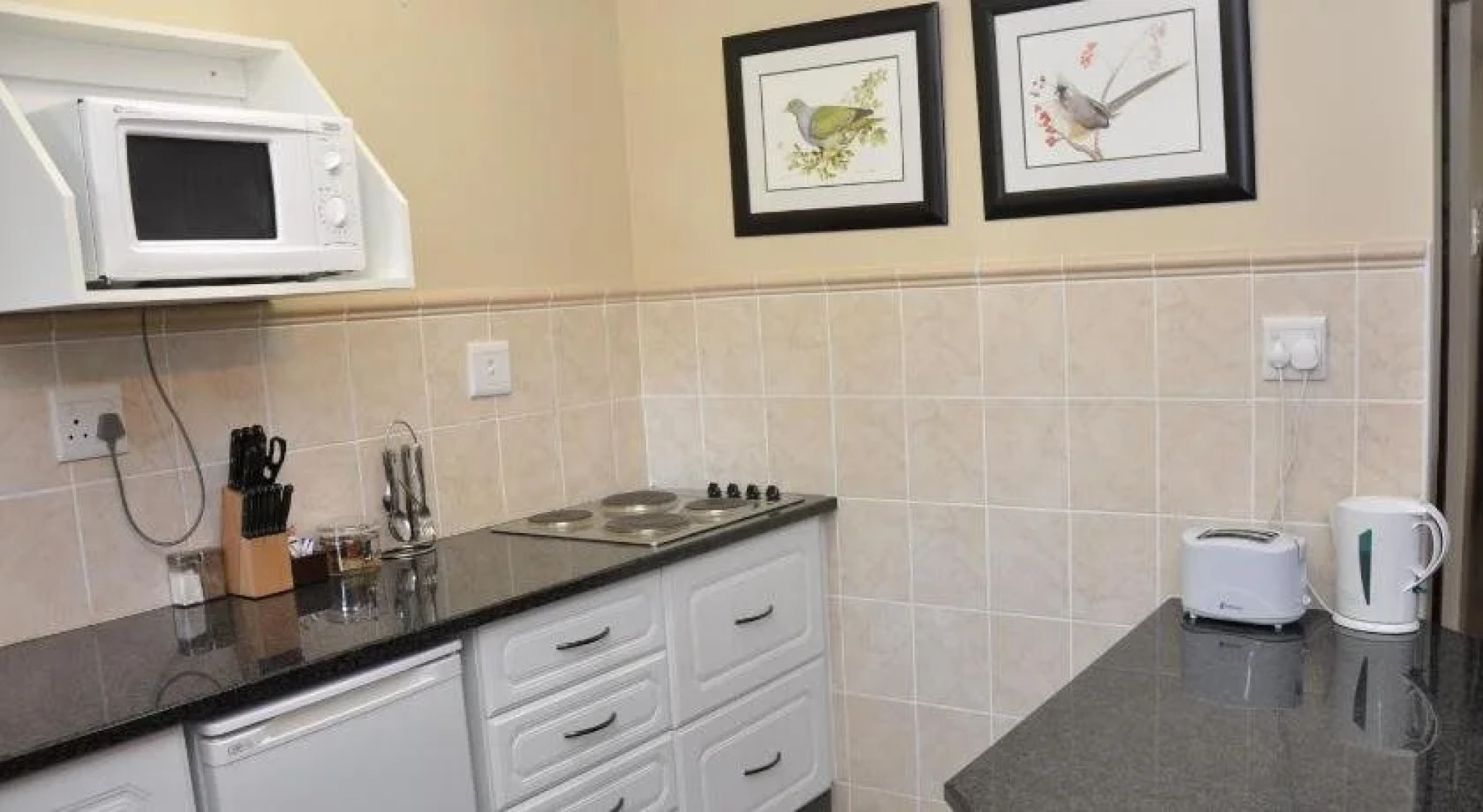 Birds of paradise B&B