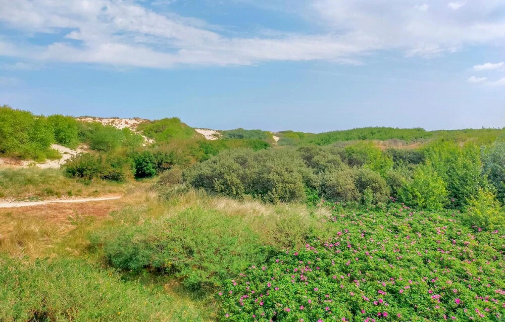 Awesome Home in Bredene With Wifi and 2 Bedrooms