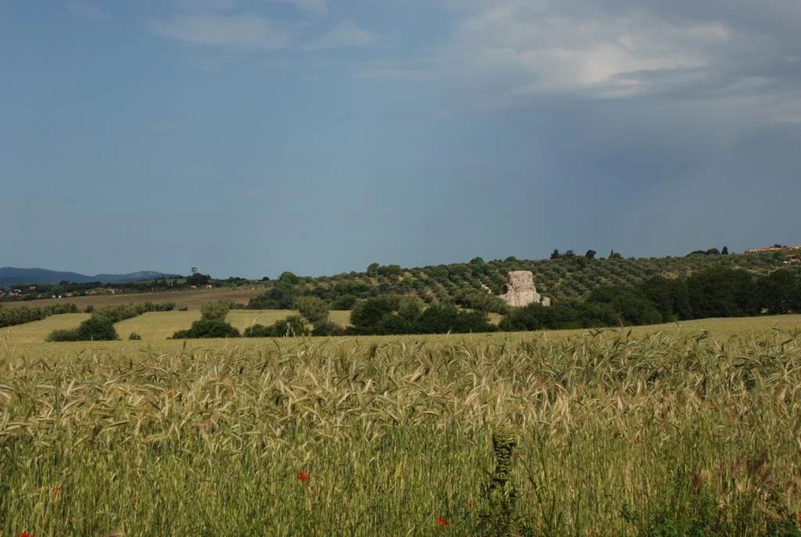 Agriturismo Le Coccinelle