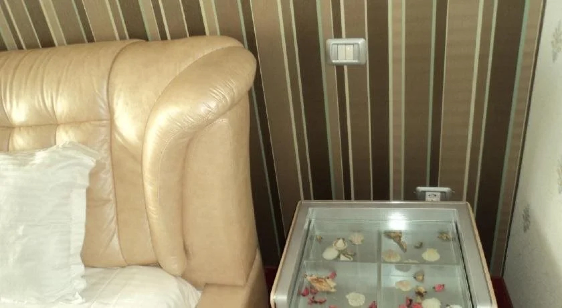 Hotel Boutique Shine