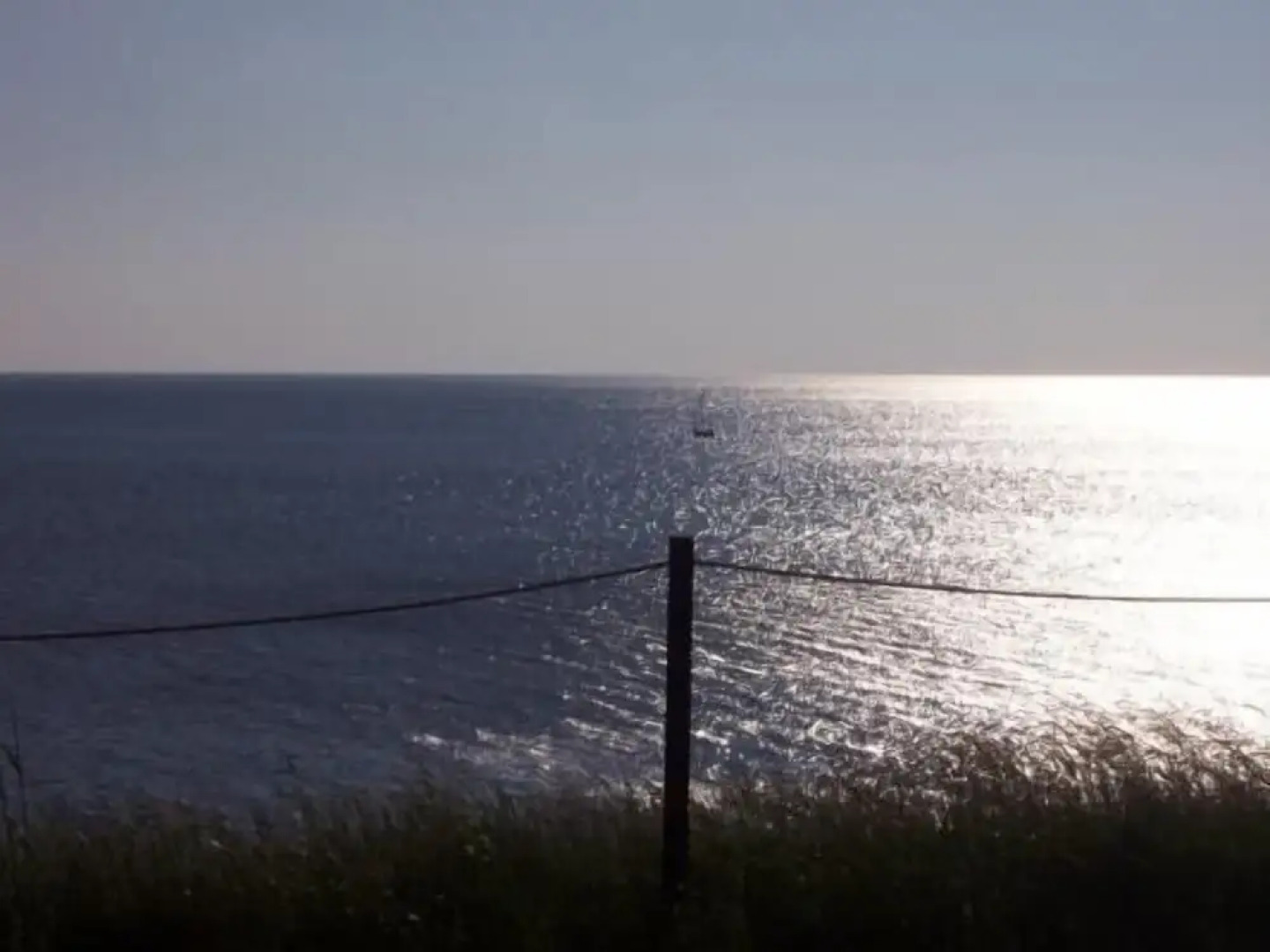 Emily's Oceanside Cottages