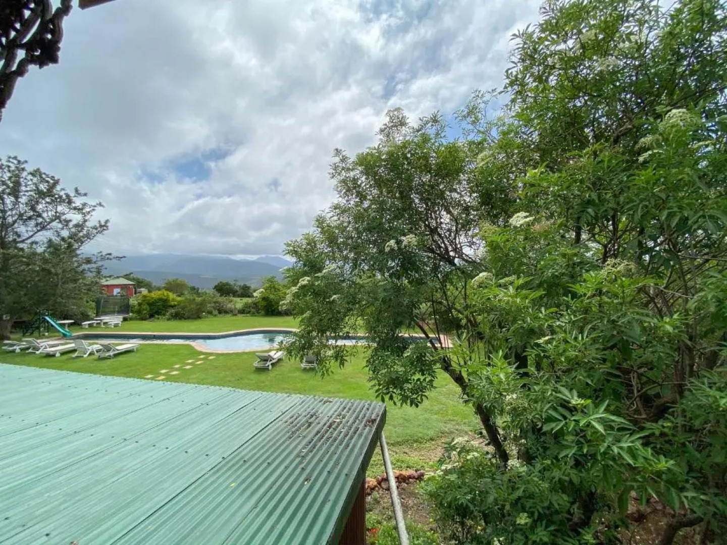 Outeniqua Moon Percheron Stud