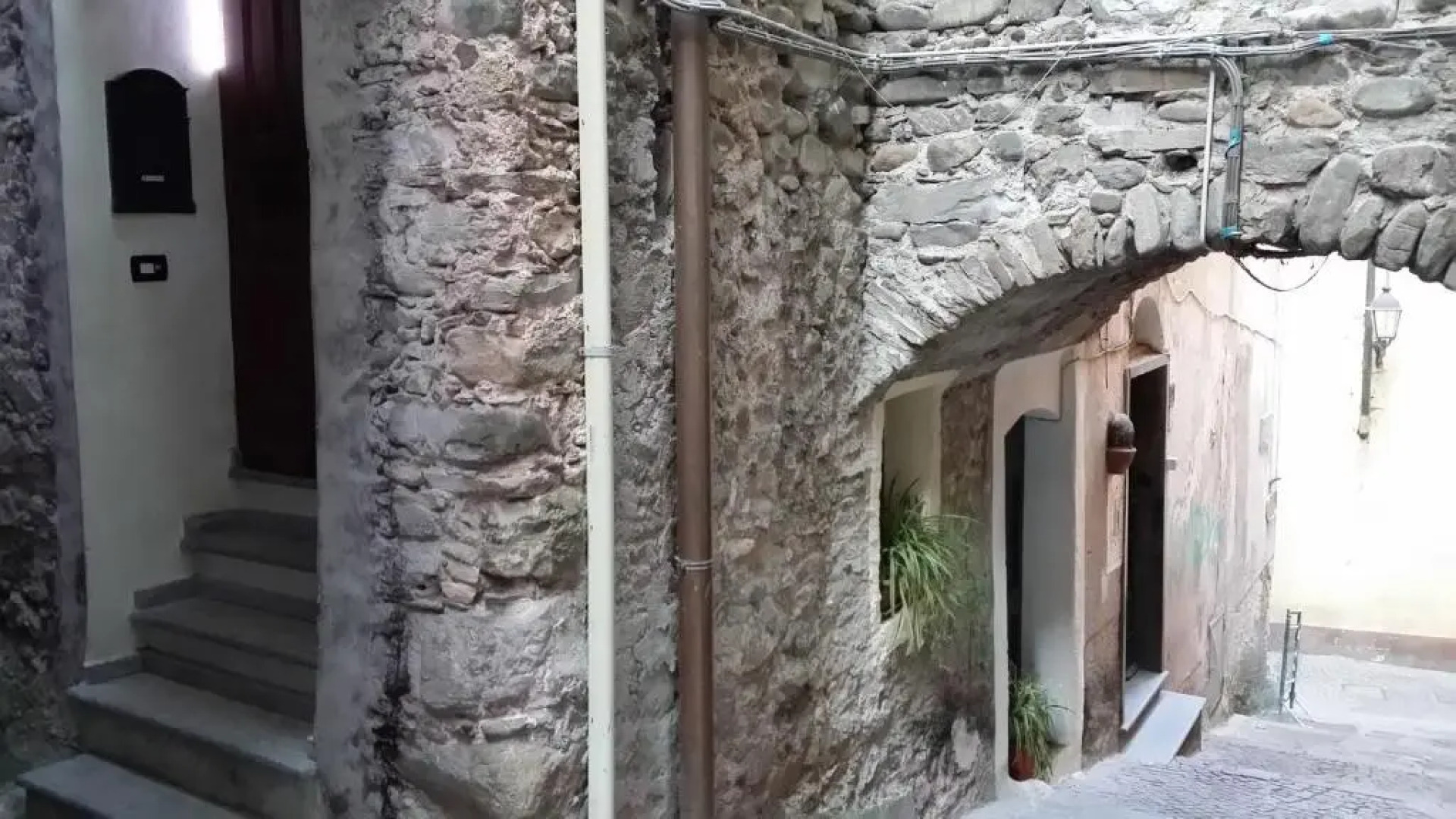 Le Case del Libro Verde Acino d'Uva