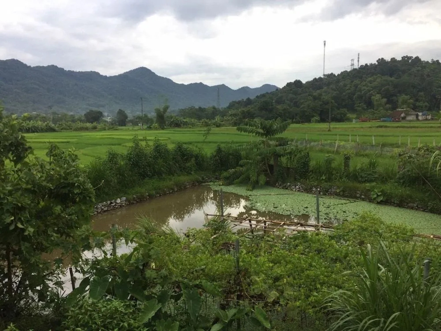 Homely Hagiang - Hostel