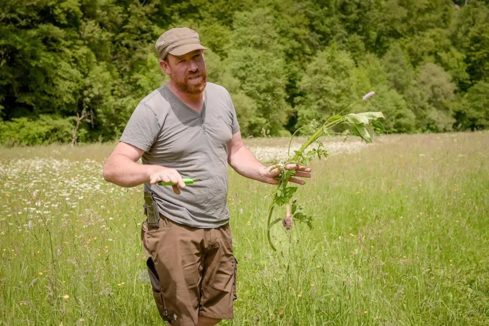 Nengshof - Haus Wildrose