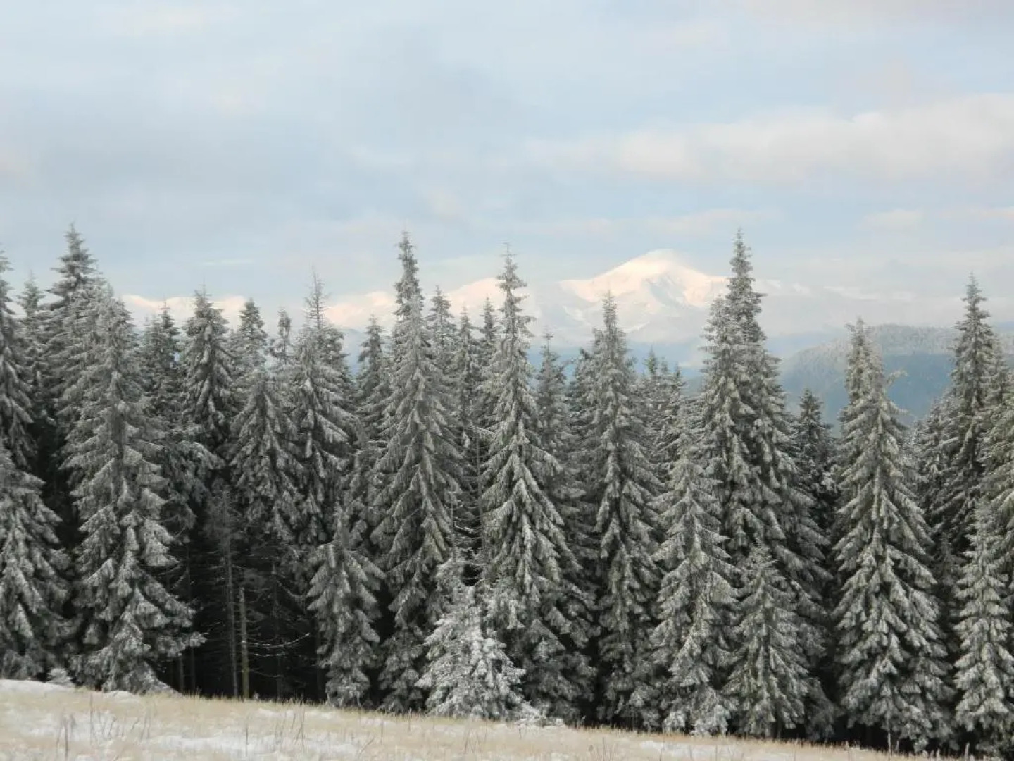 Usadba Okhotnichiy Dvor
