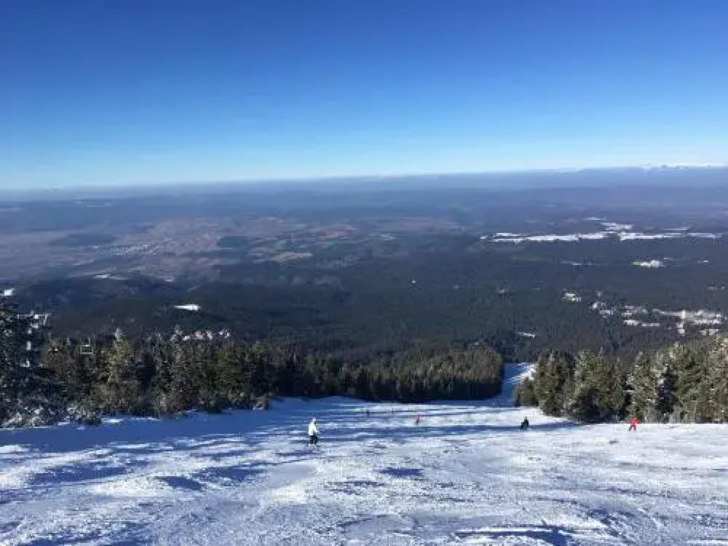 Studio in Hotel Flora Borovets